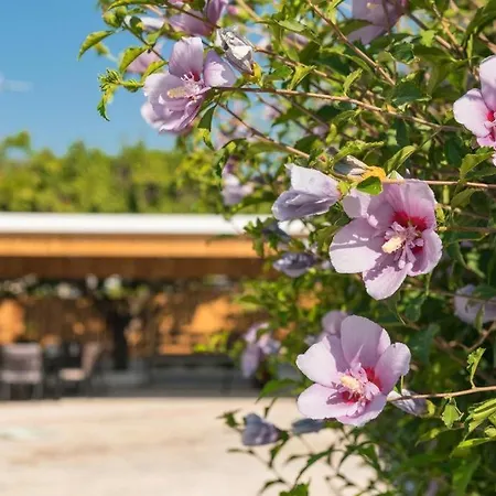 Casa Olive Holiday home Gennadi