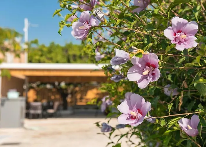 Casa Olive Ferienhaus Gennadi